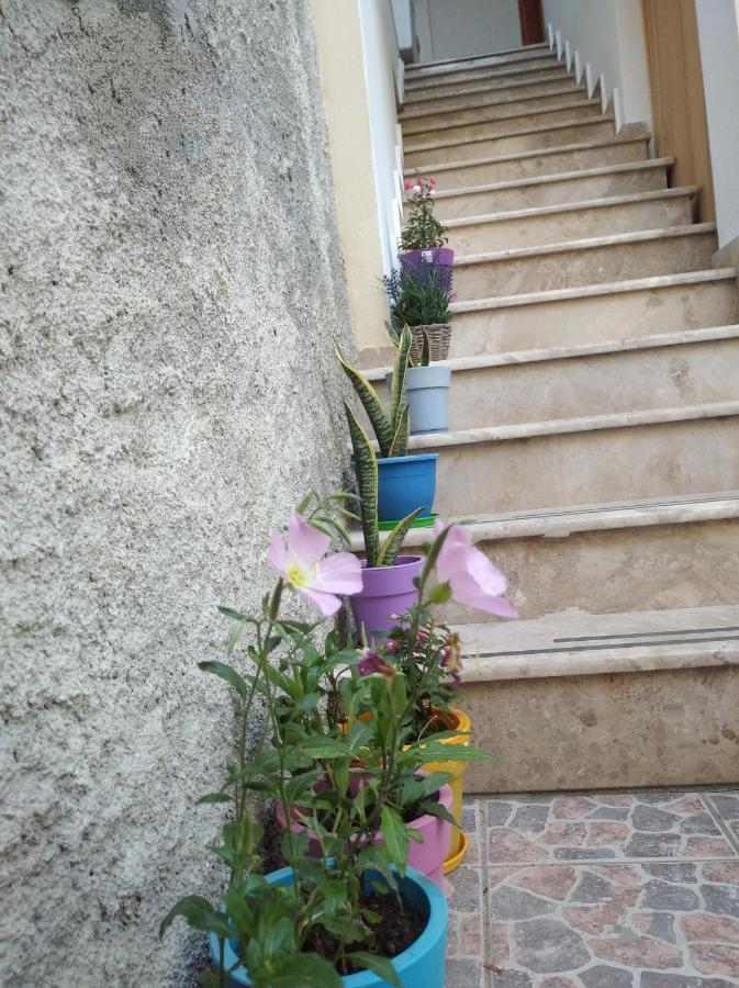 Villa Vasili Skiathos Exterior foto